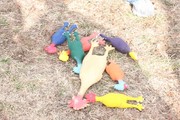 Story image 1_0